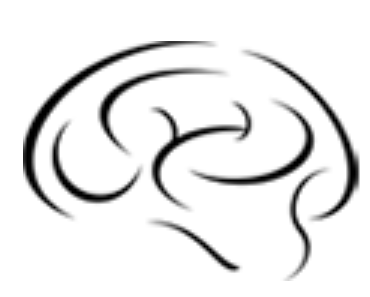 The Institute of Neurology and Neurosurgery